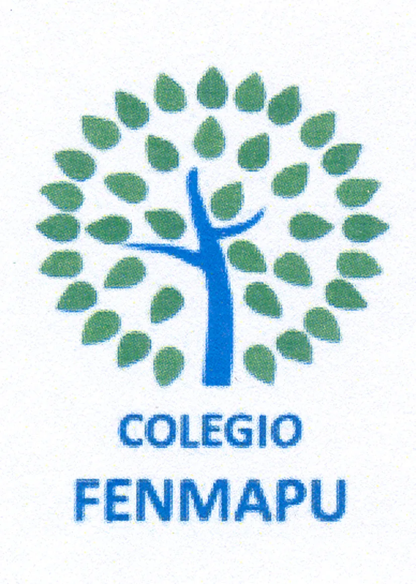 COLEGIO FENMAPU