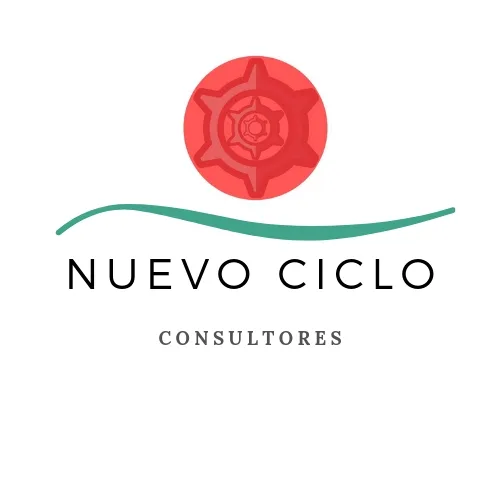 NUEVO CICLO CONSULTORES