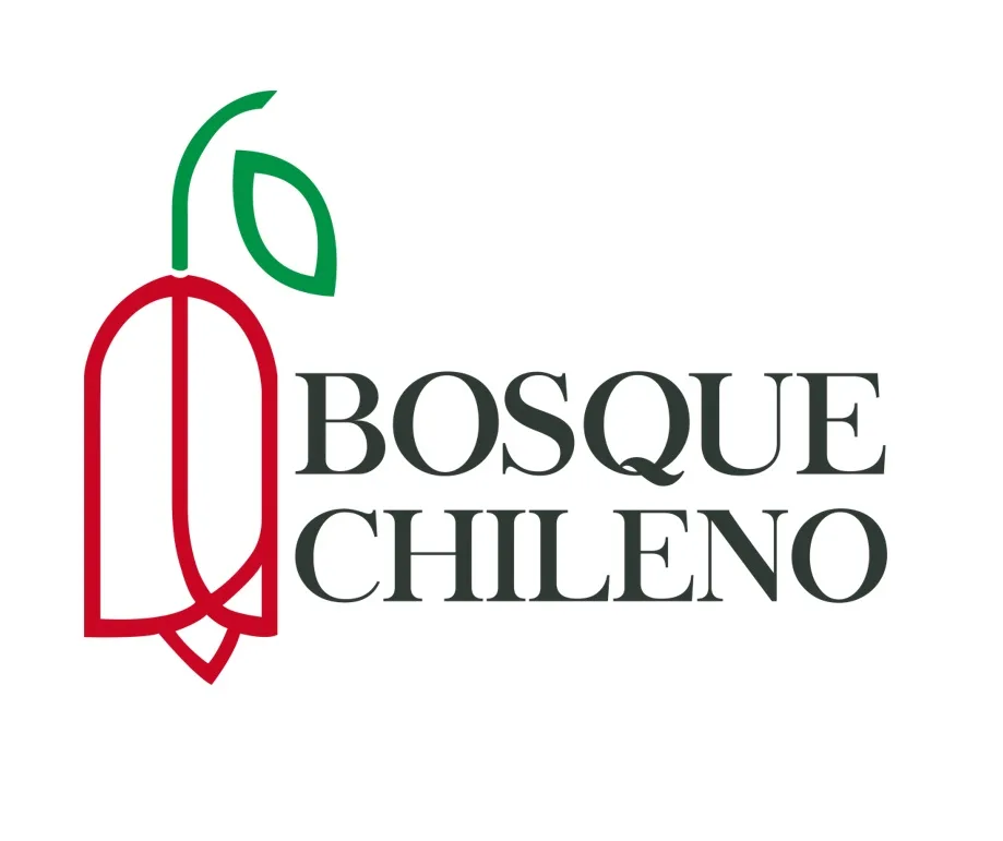 Bosque Chileno