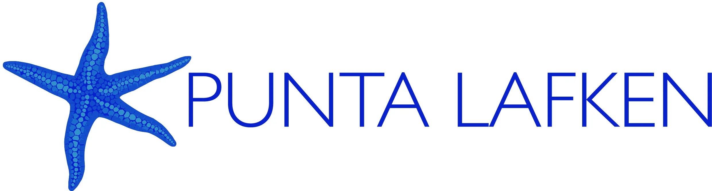 Punta Lafken