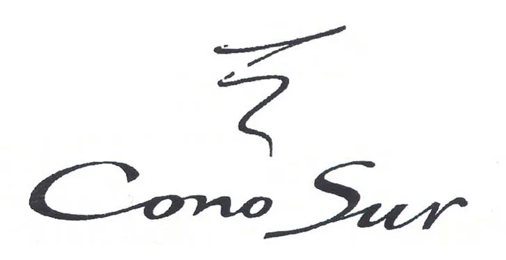 CONO SUR