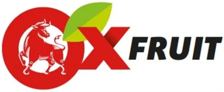 OX FRUIT