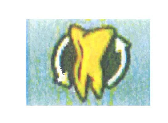 Acta 863550