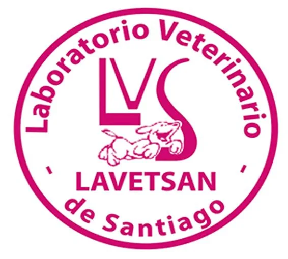 LVS LAVETSAN