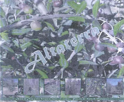 ALTATERRA