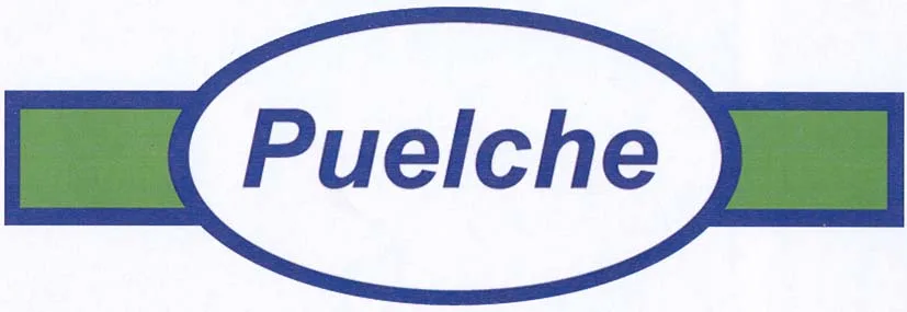 PUELCHE