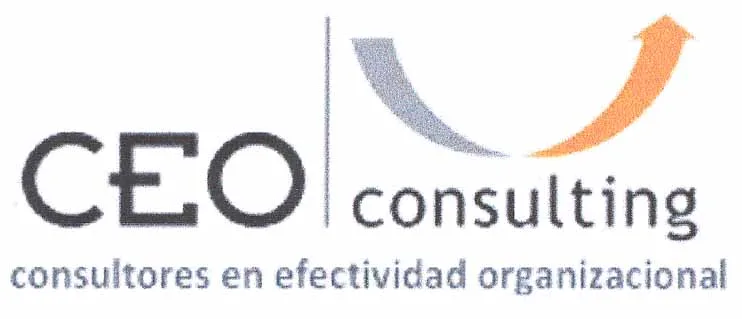 CEO CONSULTING
