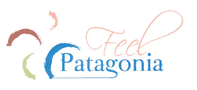 FEEL PATAGONIA