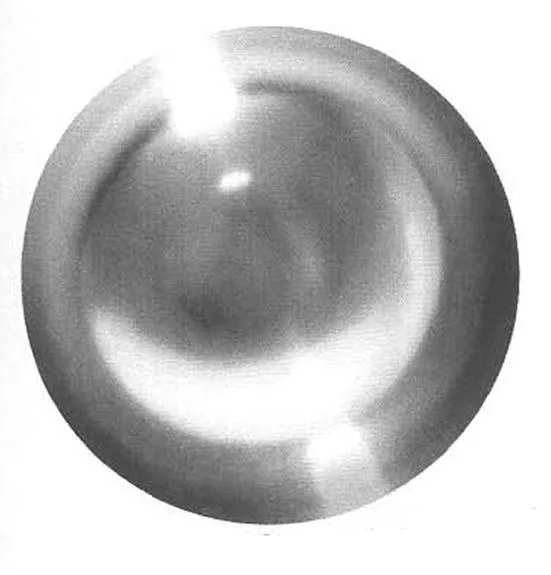 Acta 984554