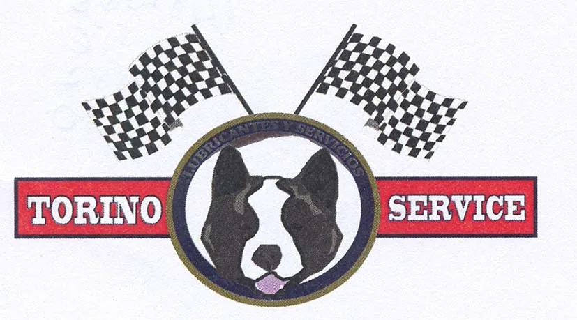 TORINO SERVICE