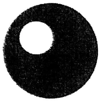 Acta 1123555