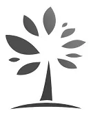 Acta 1500556