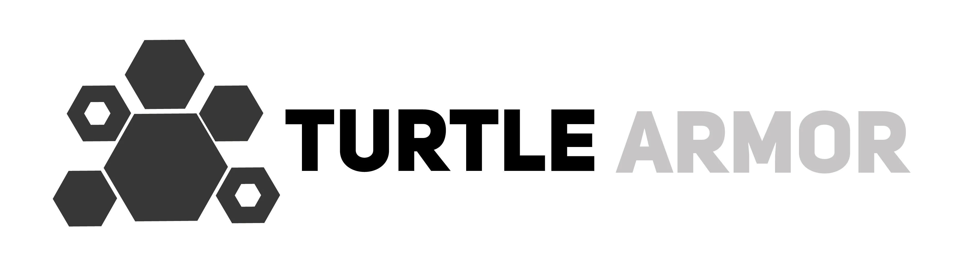 TURTLE ARMOR