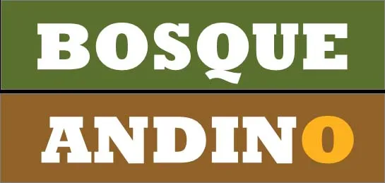 BOSQUE ANDINO