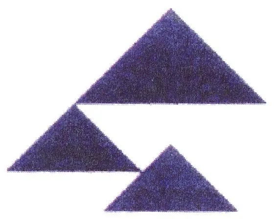 Acta 972557