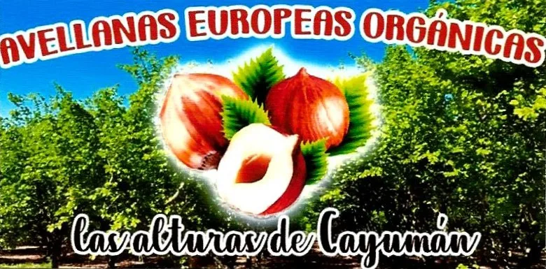avellanas europeas orgánicas las alturas de Cayumán