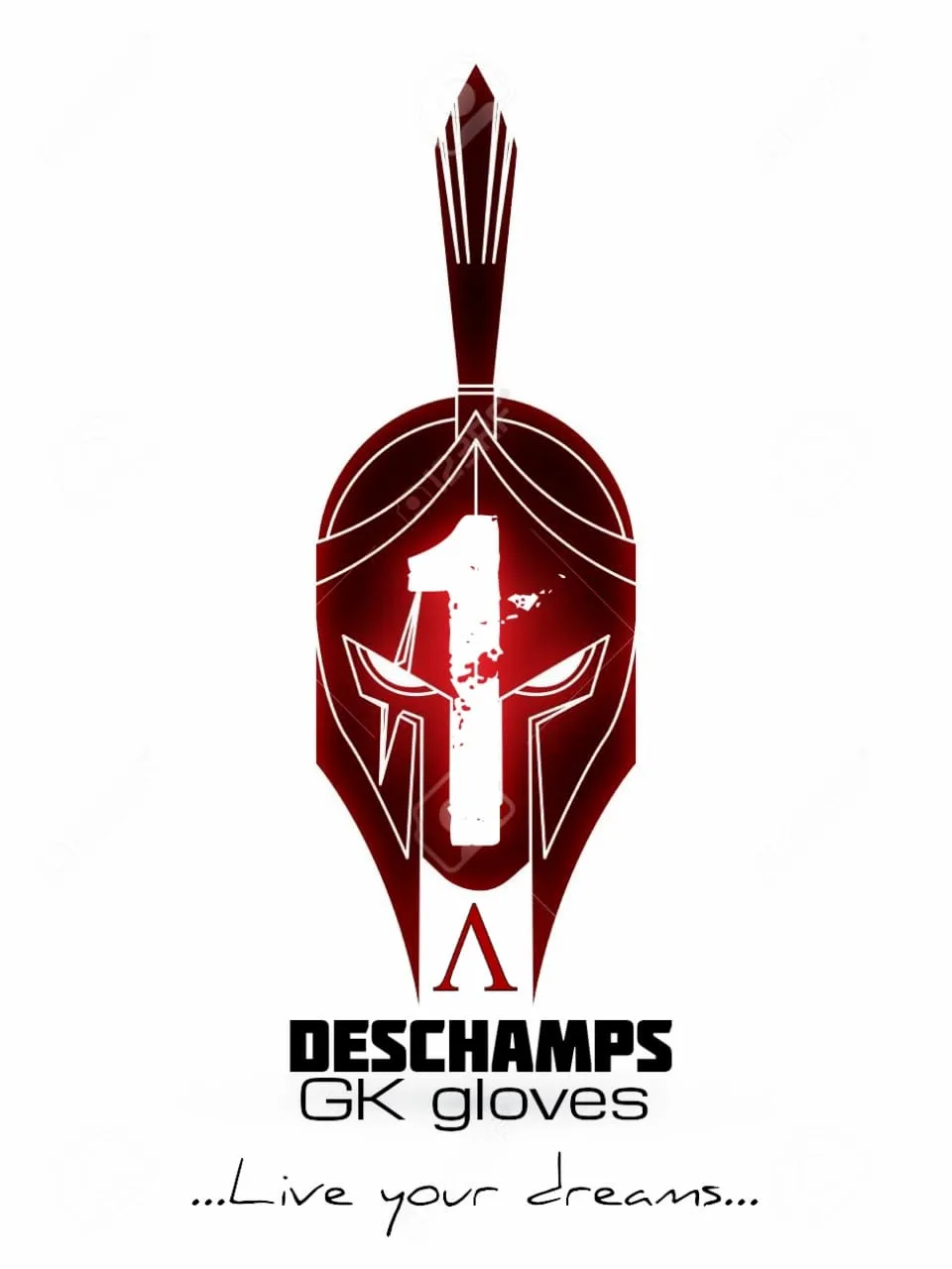 1 Deschamps GK Gloves ...Live your dreams...