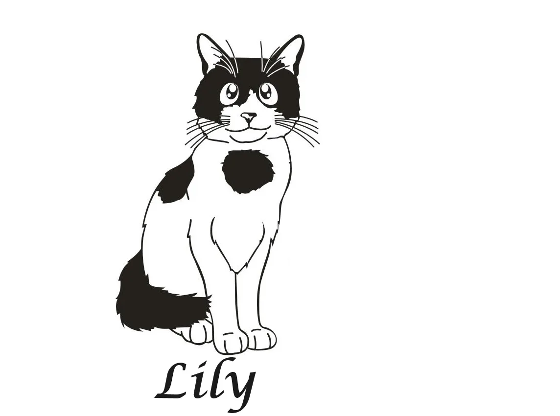 LILY