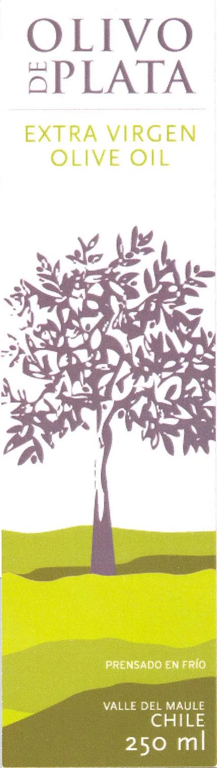 OLIVO DE PLATA
