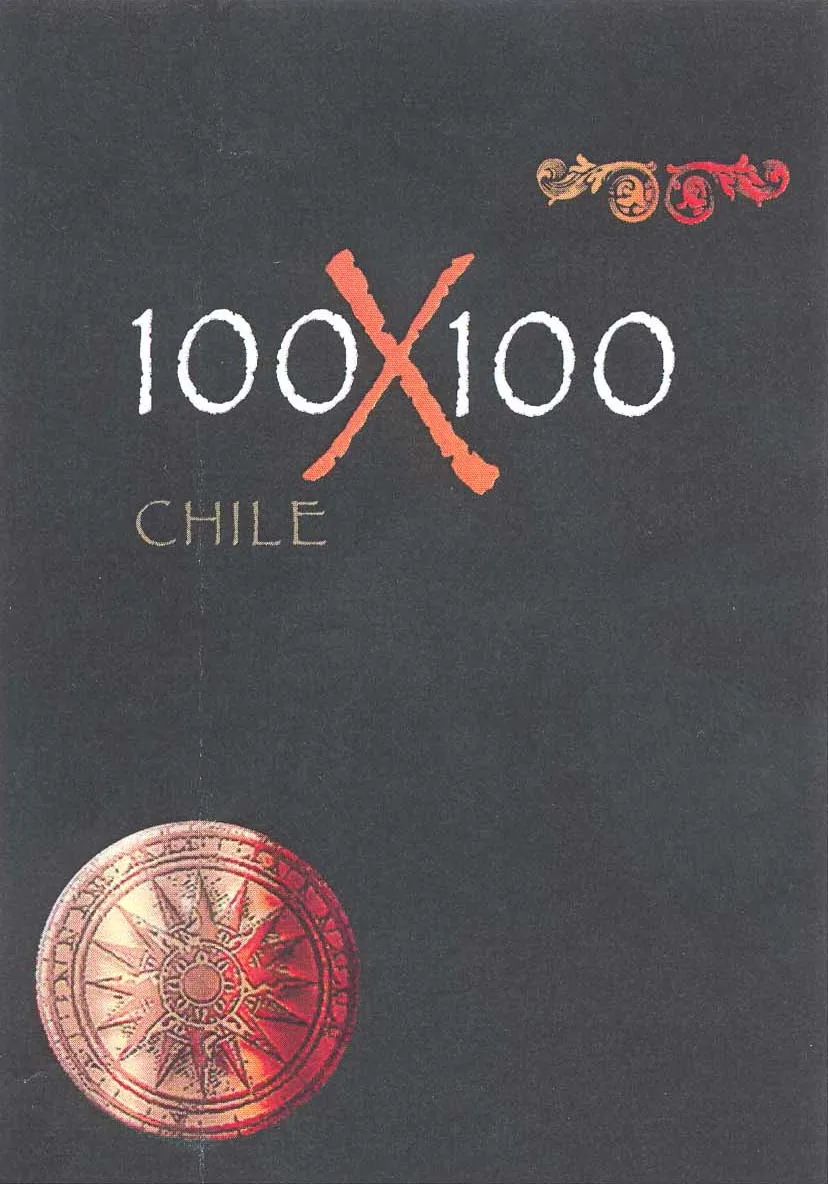 100X100 CHILE