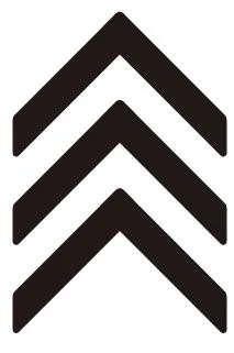 Acta 1314562