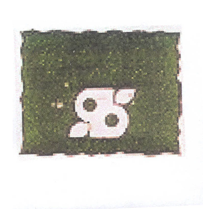 Acta 989563