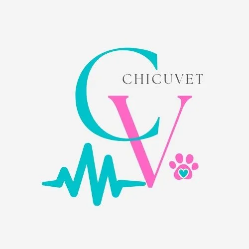 CV CHICUVET