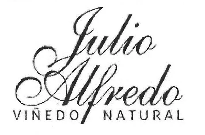 JULIO ALFREDO VIÑEDO NATURAL