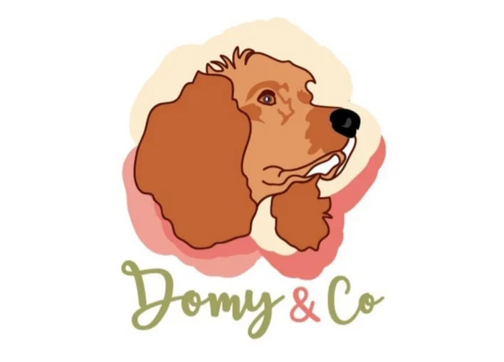Domy&Co