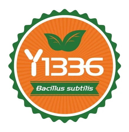 Y 1336 Bacillus Subtilis