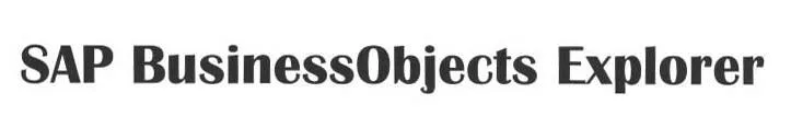 SAP BUSINESSOBJECTS EXPLORER
