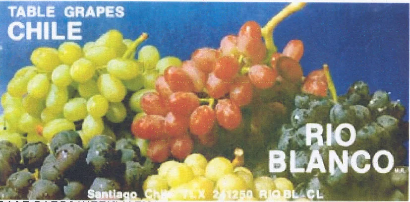 RIO BLANCO