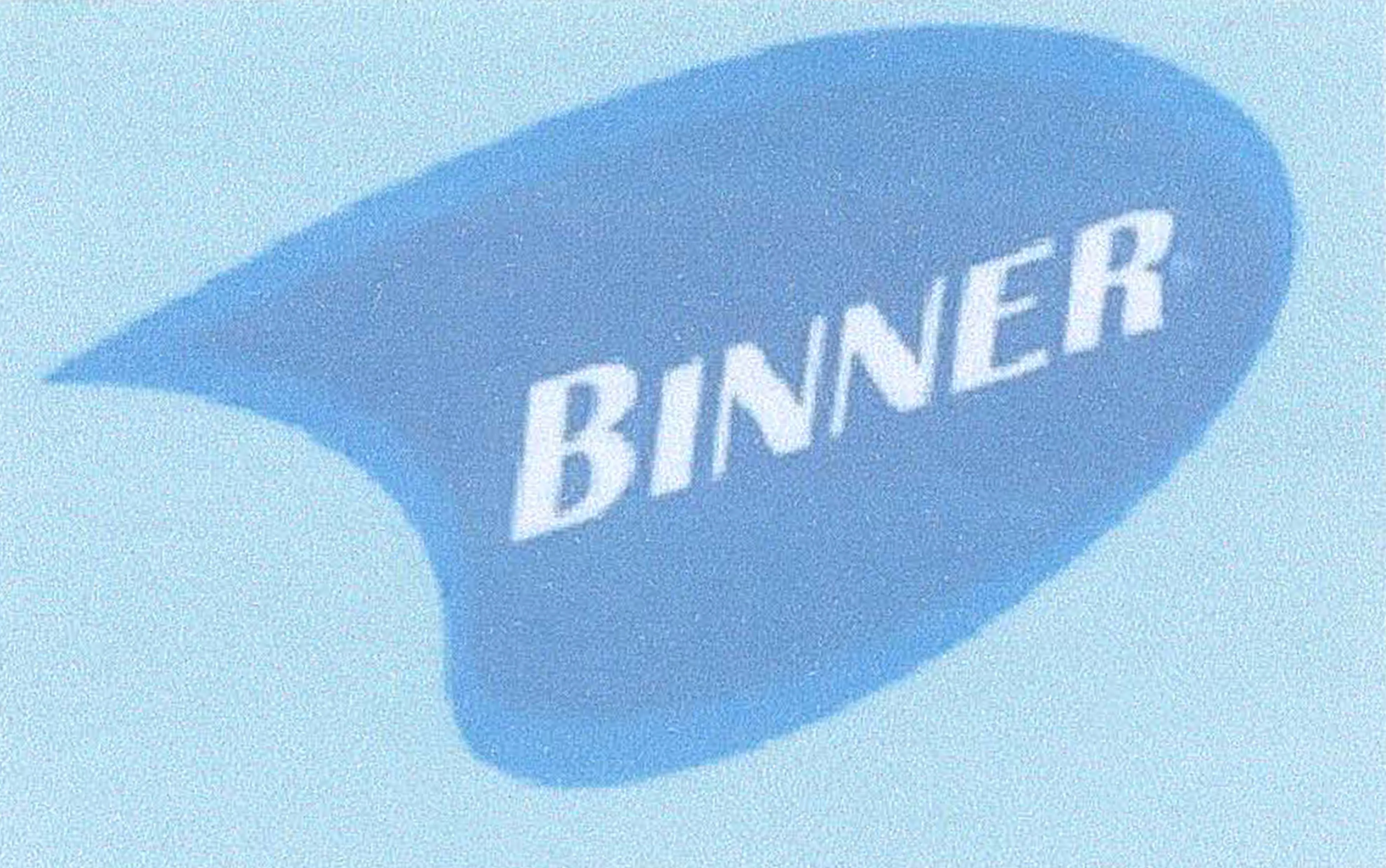 BINNER