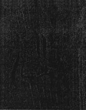 Acta 940573