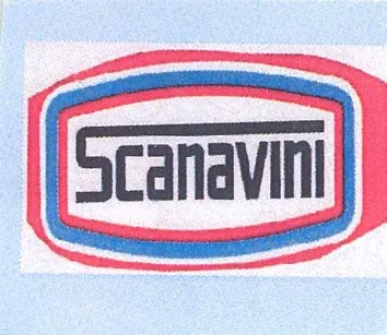 SCANAVINI