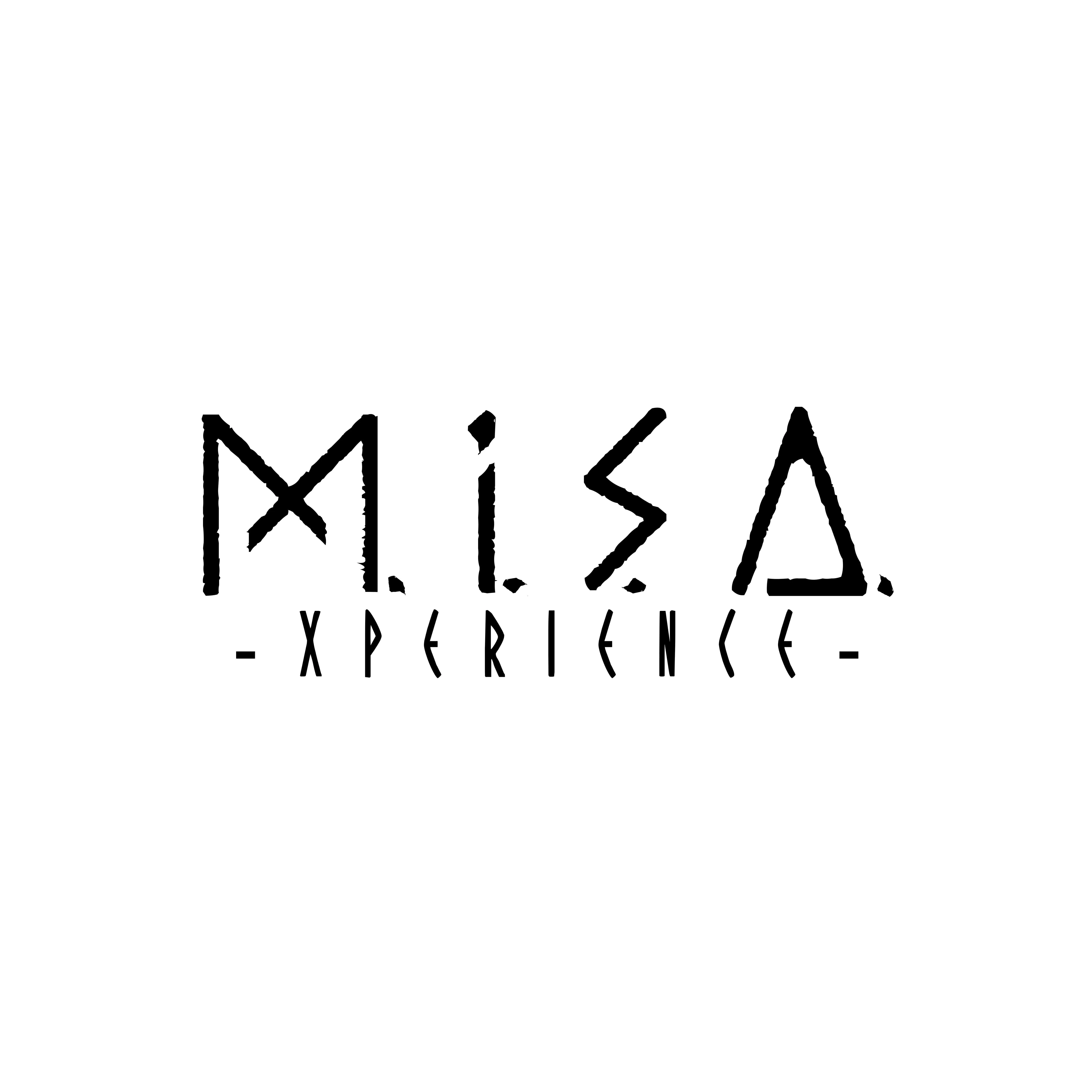 M.I.S.A XPERIENCE