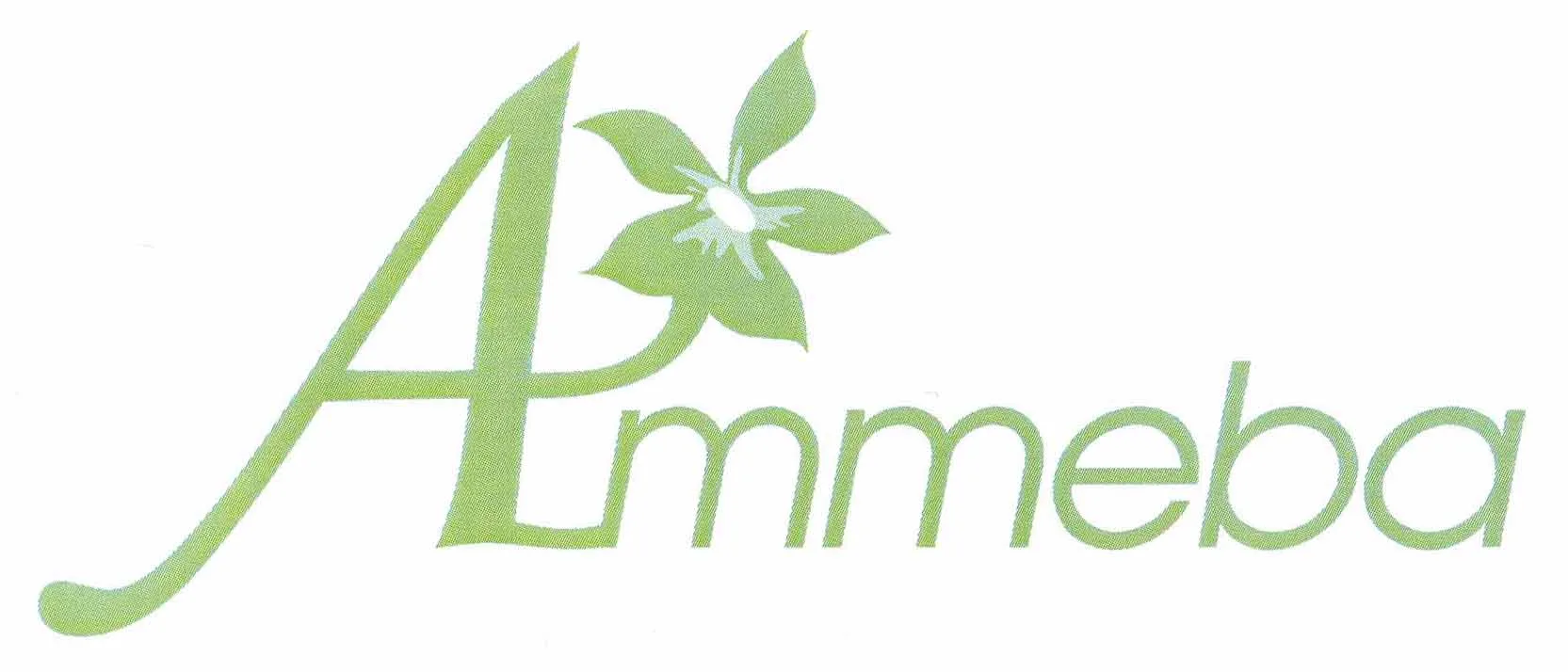 AMMEBA