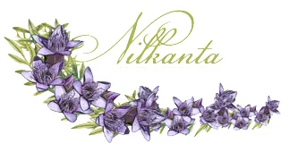 NILKANTA