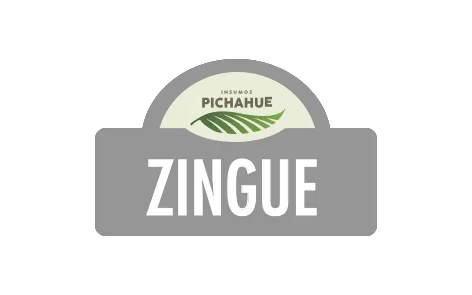 Pichahue Zingue