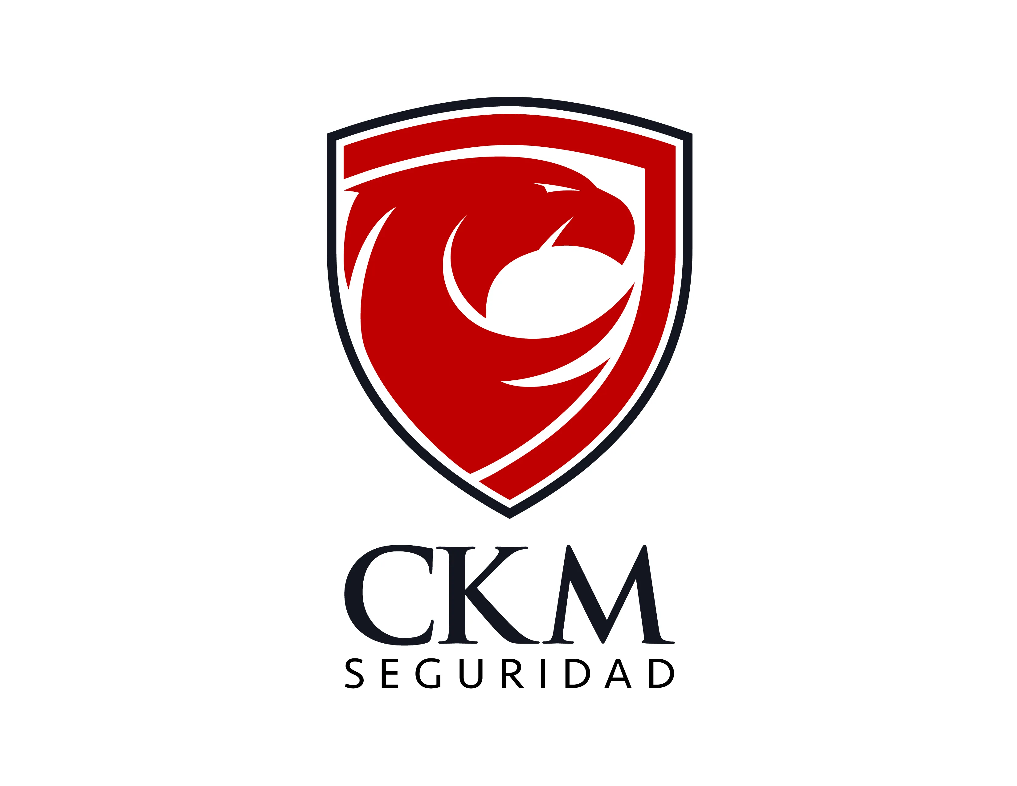 CKM Seguridad