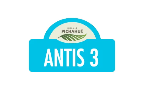 Pichahue Antis 3