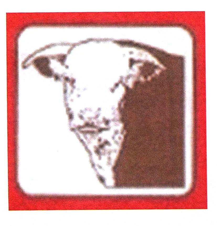 Acta 1202580