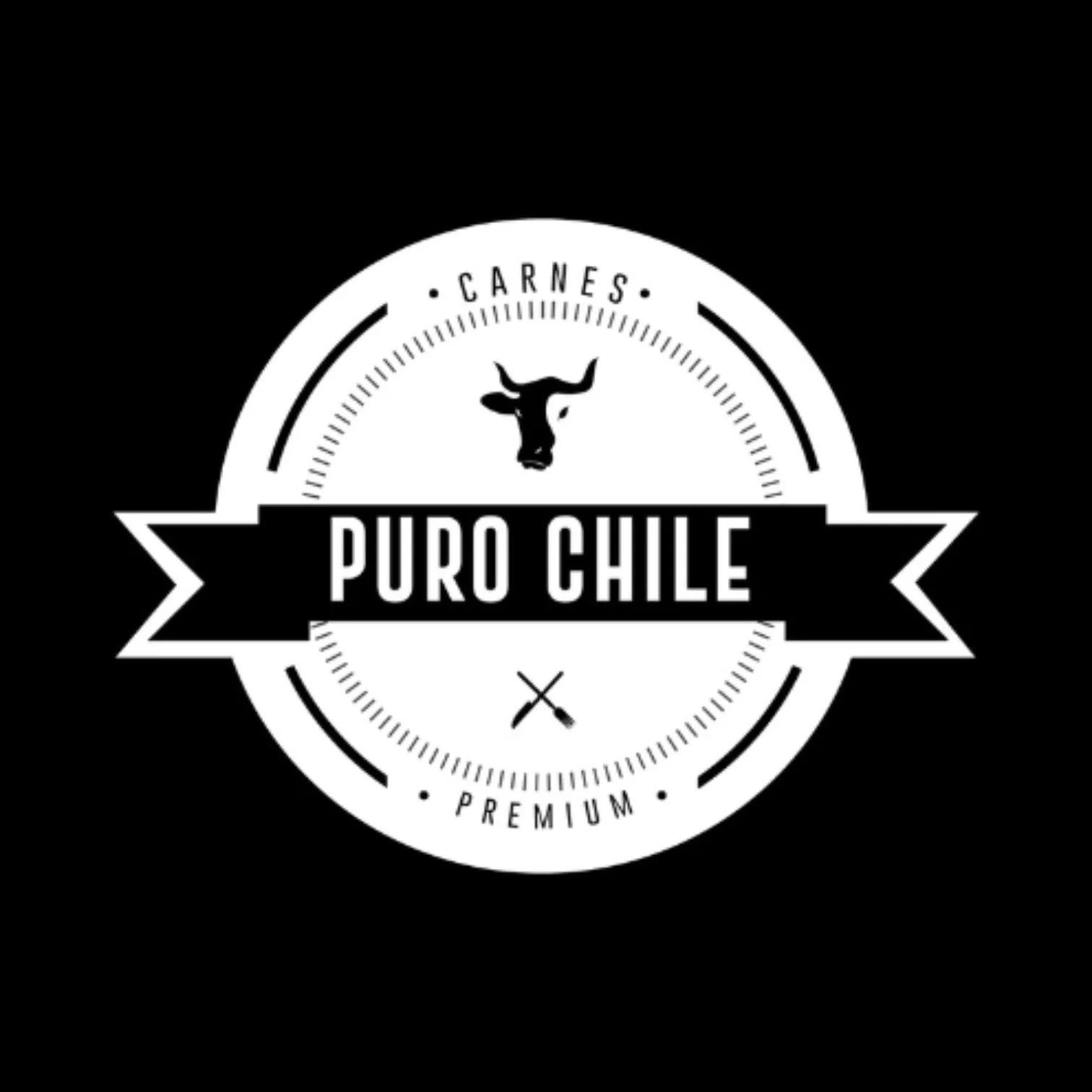 Carnes Puro Chile