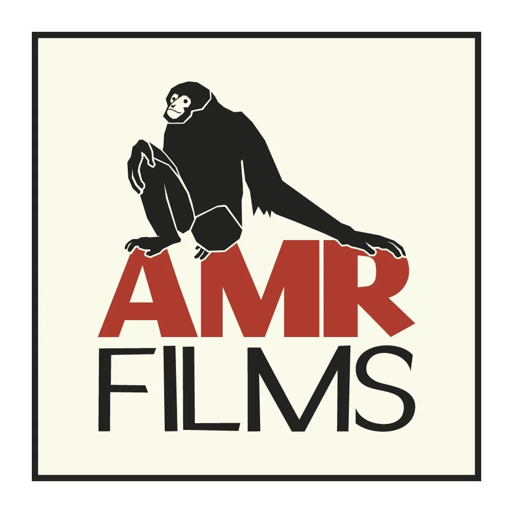 AMR Films