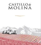 CASTILLO DE MOLINA
