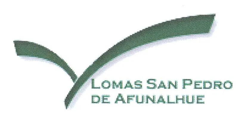 LOMAS SAN PEDRO DE AFUNALHUE