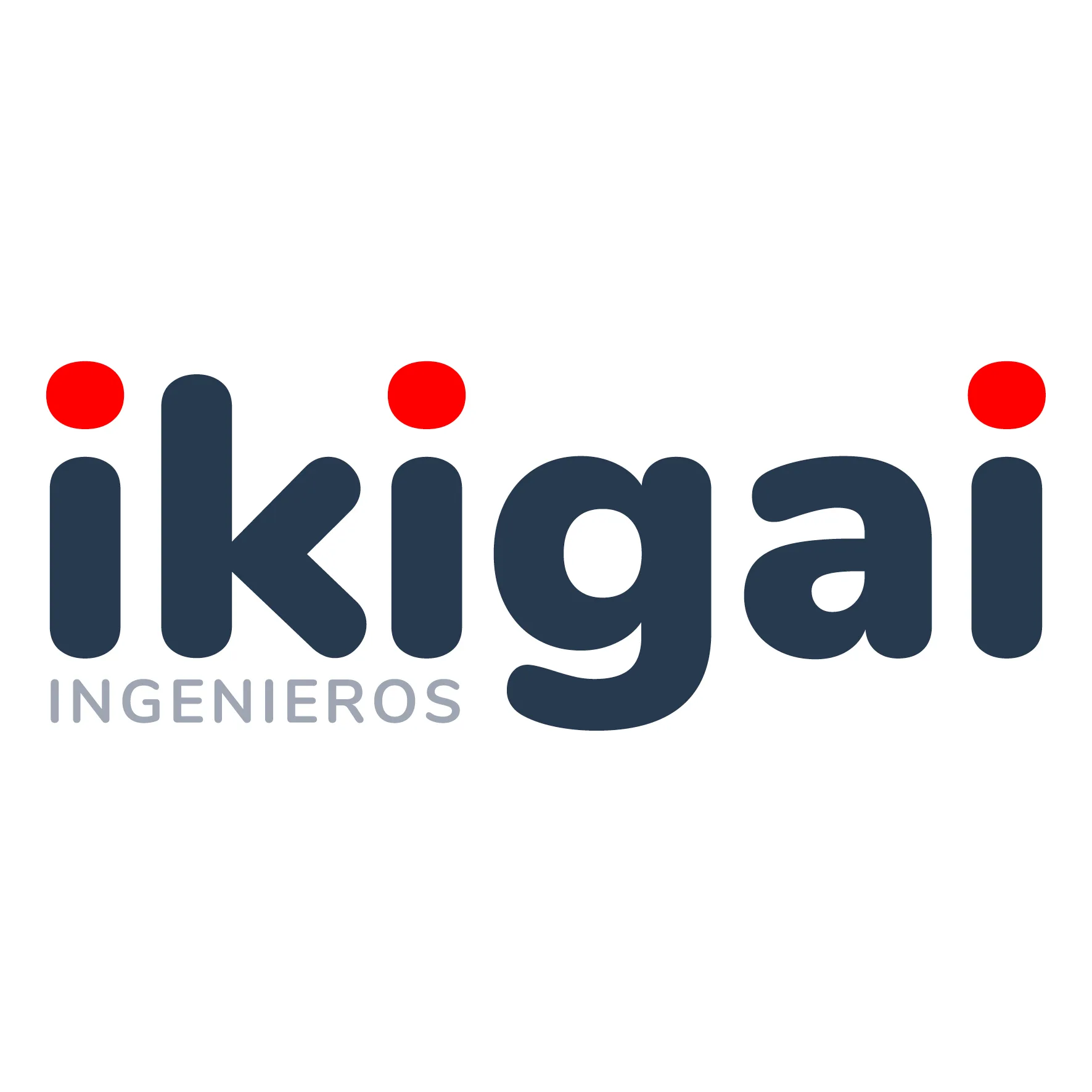 IKIGAI INGENIEROS