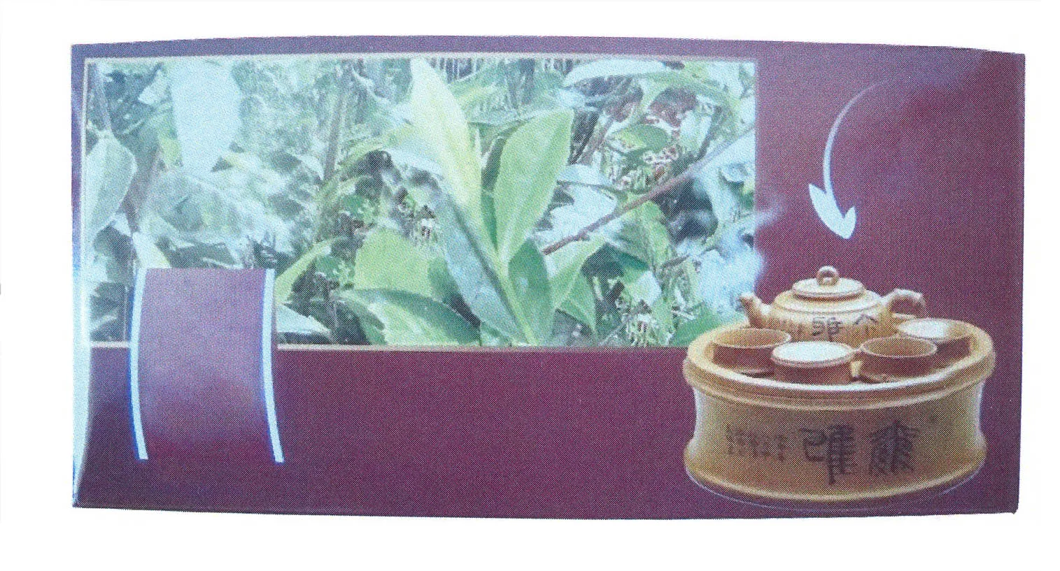 Acta 883585