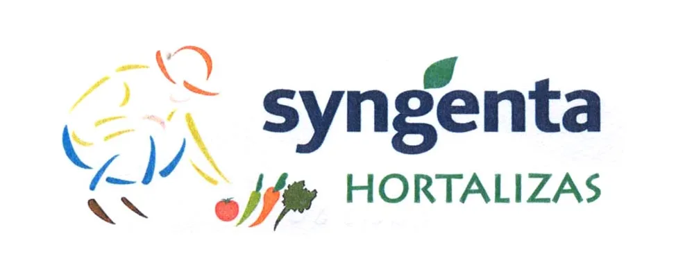 SYNGENTA HORTALIZAS