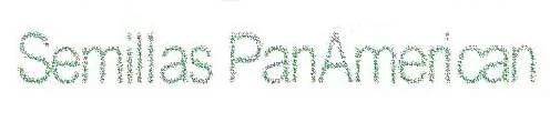 SEMILLAS PANAMERICAN
